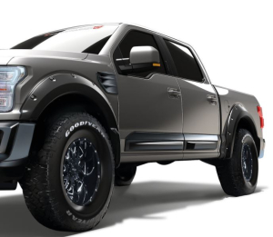 WARN® | 4X Fender Flares | 102019