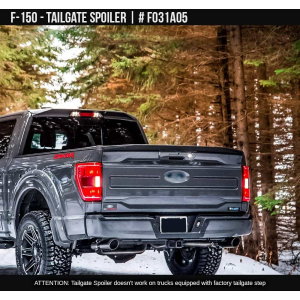 Air Design - Air Design | Tailgate Spoiler | FO31A05PR - Image 6