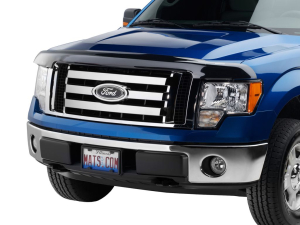 WeatherTech® | Stone And Bug Deflector | 50288